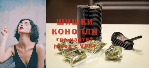 прущие крисы Медвежьегорск