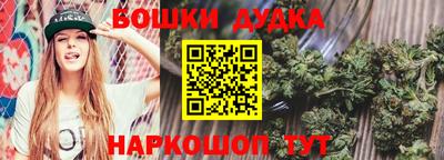 гидра Кинель