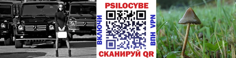 наркошоп  Находка  даркнет телеграм  Псилоцибиновые грибы GOLDEN TEACHER 