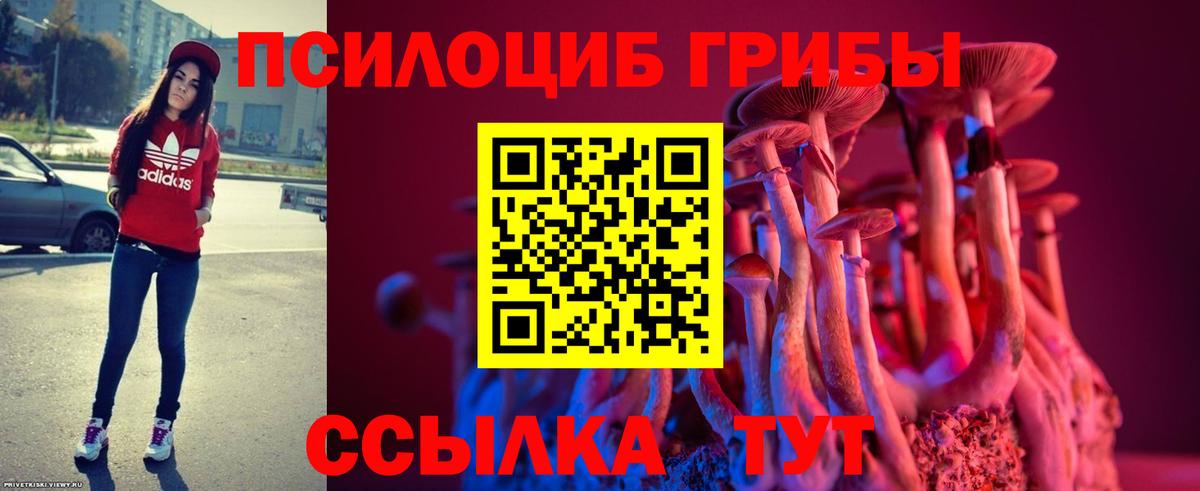 Галлюциногенные грибы Psilocybine cubensis Находка
